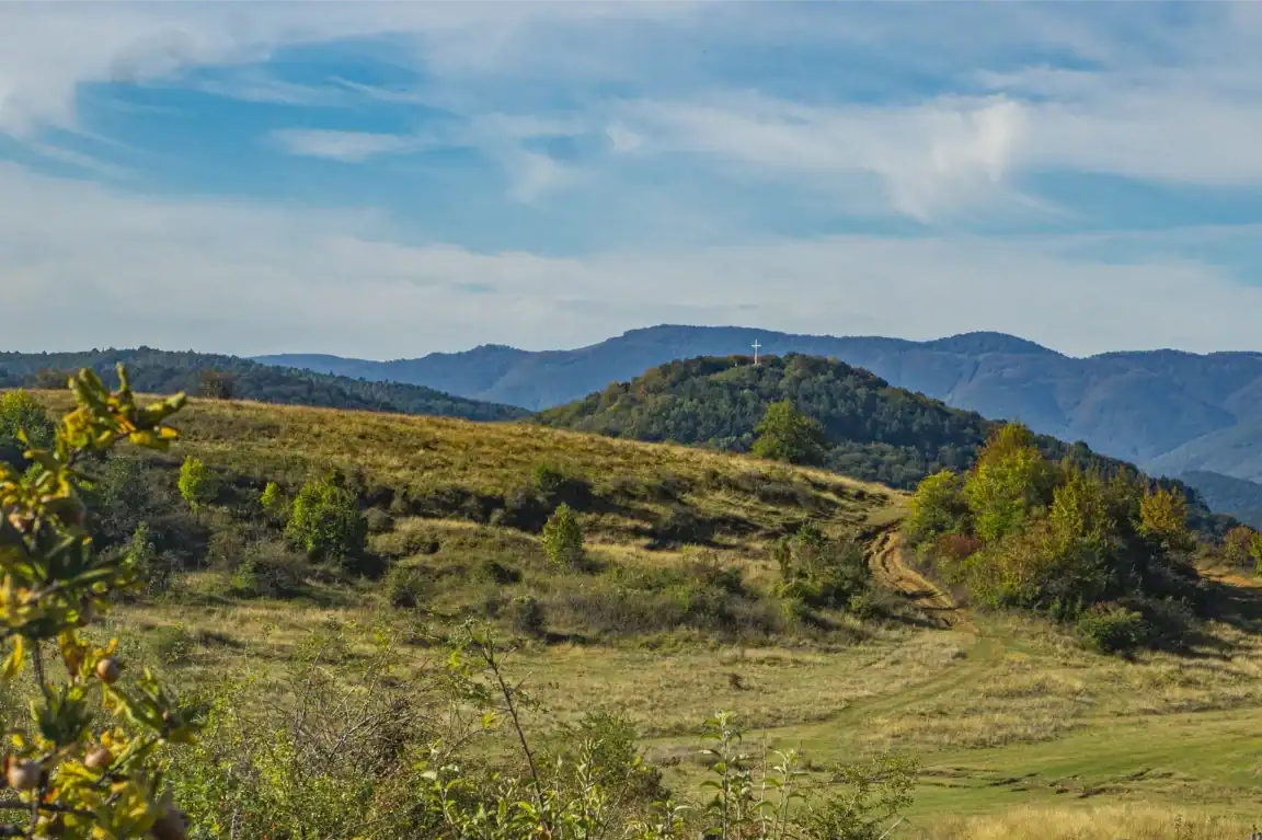 Scenic view of Tipchenitza Winery vineyards and rolling hills in Bulgaria.